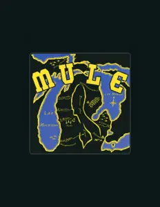 Escucha a Mule, mira videos musicales, lee su biografía, consulta las fechas de las gira y más.