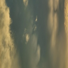 Walkin' Mr. Versatile