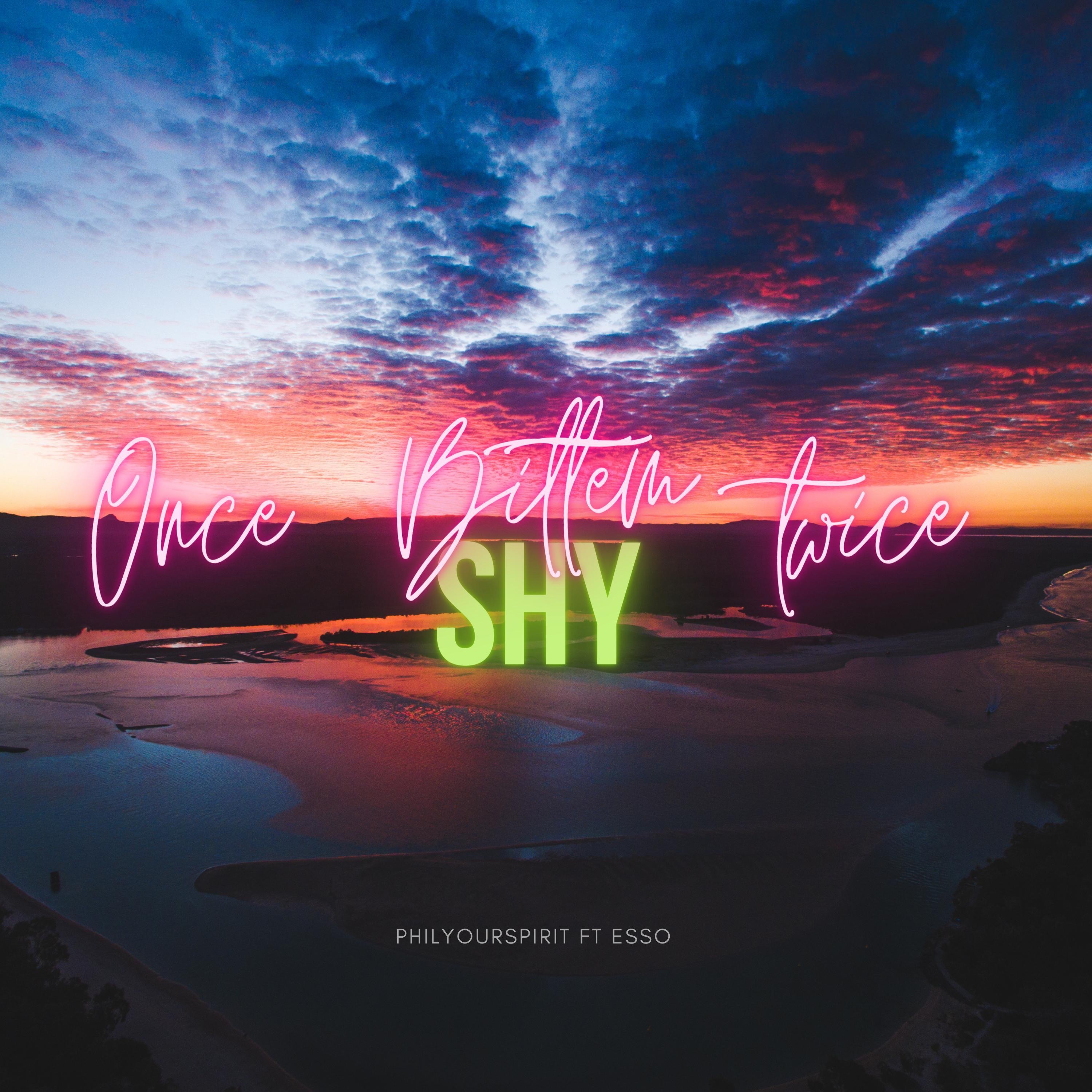 Once Bitten Twice Shy - Single