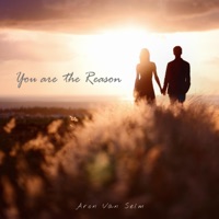 You Are the Reason - Single - Aron van Selm