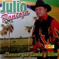 Un Guayabo Pasajero