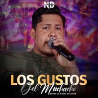 Los Gustos del Muchacho - Single - Banda la Nueva Decisión