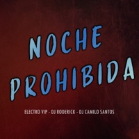 Noche Prohibida - Single - Electro VIP, Dj Roderick & Dj Camilo Santos