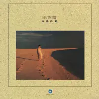 冷冷的夏 — 王芷蕾