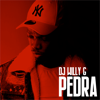 PEDRA - DJ Willy G