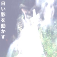 White//Graves - Single - Sakukaze