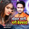 Tohara Bhari Pari Bewafai - Single