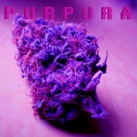 Púrpura - Single - Gesh!