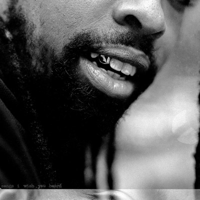 Songs I Wish You Heard - EP