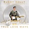 Raining In My Heart - Buddy Holly, Gregory Porter & Royal Philharmonic Orchestra lyrics