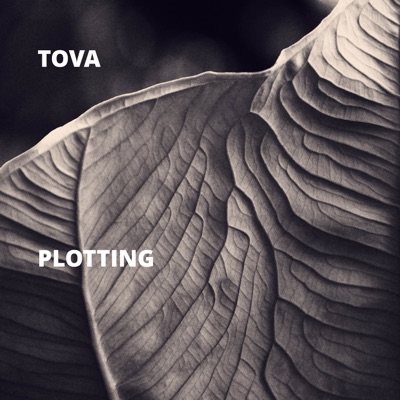 Plotting - Single