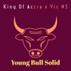 Young Bull Solid (feat. Vic NS) - Single