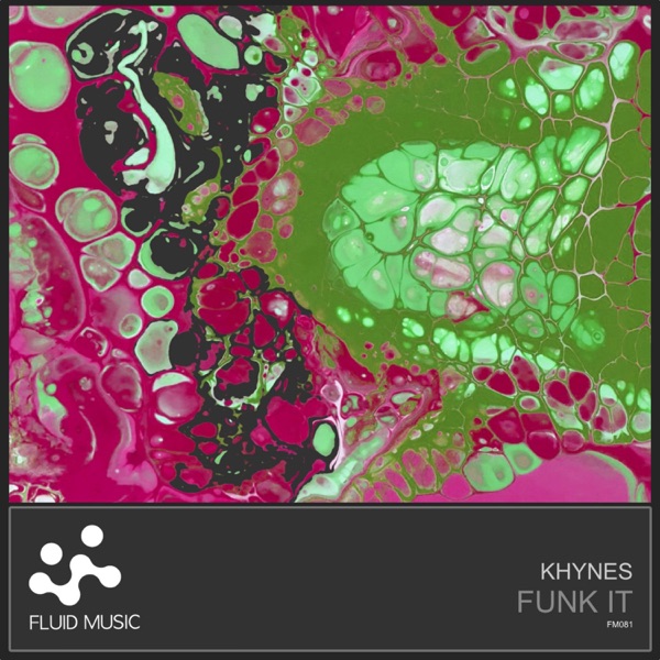 Funk It - Single