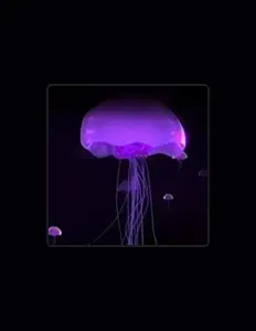 The Jellyfisherを聴いたり、ミュージックビデオを鑑賞したり、経歴やツアー日程などを確認したりしましょう！