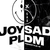 PLDM #2 - Single - joysad