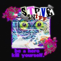 Slova tvý hvězdy nic neznamenaj - Single - Steve Sniff