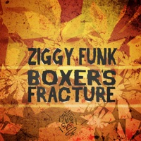 Ziggy Funk - We Can Get Down