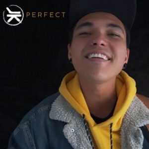 Perfect (feat. Giovanni Agostini, Fernando Castilhos & Dublin City Today) - Single