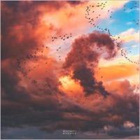 Bereaved - Single - Reиovatio