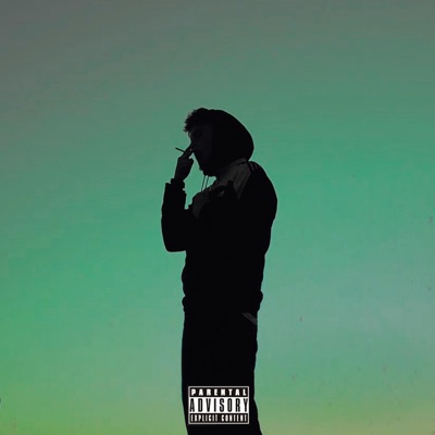 Fumo y Deliro (feat. DENEK) - Single