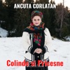 Colinde si Pricesne