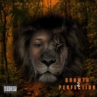 Growth 2 Perfection - Ace Mondo