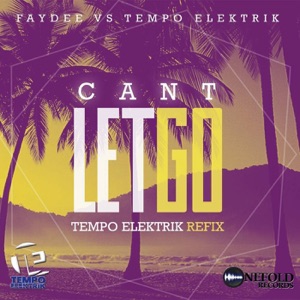 Can't Let Go (Faydee vs. Tempo Elektrik) - Single