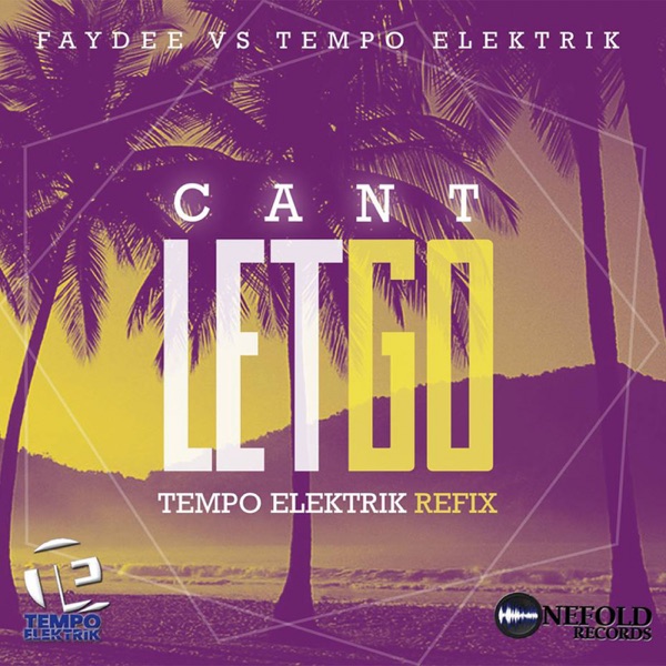 Can't Let Go (Faydee vs. Tempo Elektrik) - Single