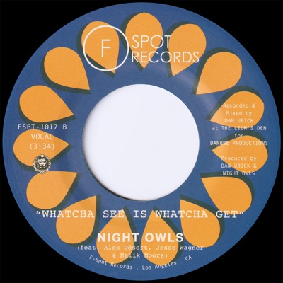 Whatcha See Is Whatcha Get (feat. Alex Désert, Jesse Wagner & Malik "The Freq" Moore) - Single