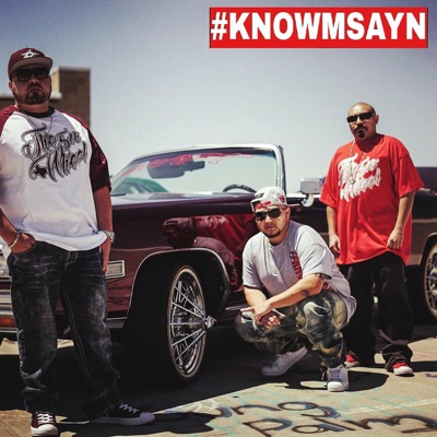 Knowmsayn - Single