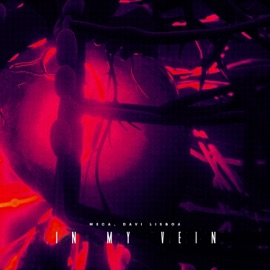 In My Vein Meca & Davi Lisboa