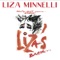 City Lights - Liza Minnelli lyrics