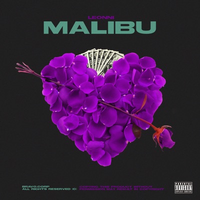 Malibu - Single