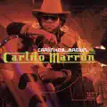 CARLITO MARRON