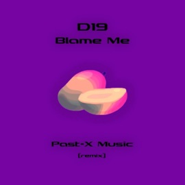 Blame Me (feat. D19) [Remix] Past-X