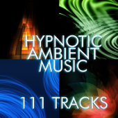 111 Track Hypnotic Ambient Music and White Noise for Deep Sleep, Relaxation Meditation: Asian Zen Spa, Massage, Chill, Relax, Wellness, Yoga, New Age Sounds - Various Artists