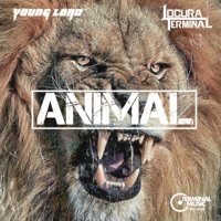 Animal (feat. Young Lord) - Single - Locura Terminal