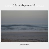 Transfigurations artwork