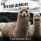 March 10, 2020: (Super) Mario Day (Instrumental) - The Pissed Alpacas lyrics