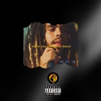 When I'm Down - Single - Jon Swaii