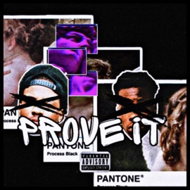 Prove IT (feat. RealDealSmokey) Woadie
