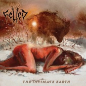 Felled - The Salt Binding