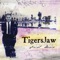 Spirit Desire - Tigers Jaw lyrics
