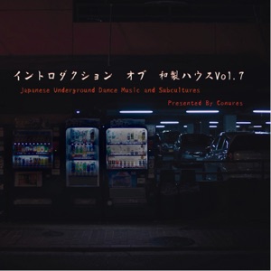 Introduction of Japanese House Vol.7