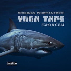 Wo Sind Deine Freunde Echo & C.E.M