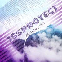 BRF Theme - Single - Tss Proyect