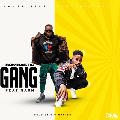 Gang (feat. Nash) - Single