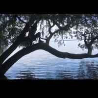 Eleven Eleven - Single - V4mp