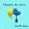 Earth.Boy - Dança Cigana
