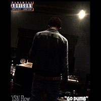 Go Dumb - Single - YSN Flow